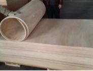 PLYWOOD (commercial/fancy/marine/film faced/UV paint/Grooved), size4*8, all thickness (2.0~25mm) available, Glue MR, WB